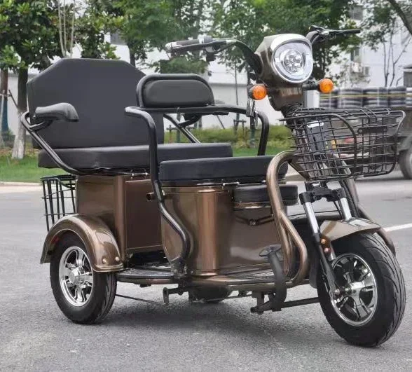 Tricycle électrique 500W, à la mode