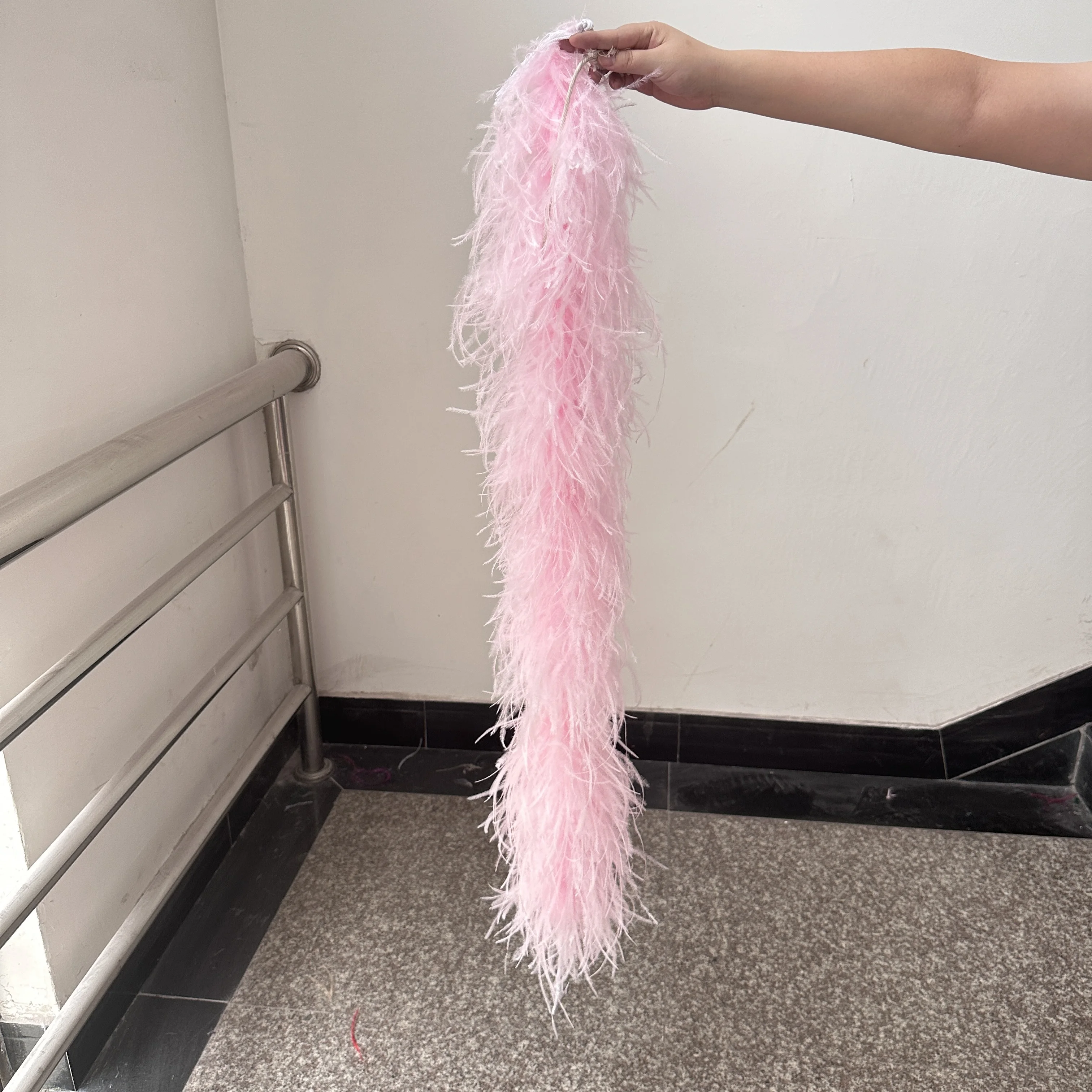 2 4 6 8 10 PLY Red Ostrich Feather Boa Fluffy Ostrich Feather Trim for Party Clothing Wedding Dress Sewing Plumes Decoration 1 M