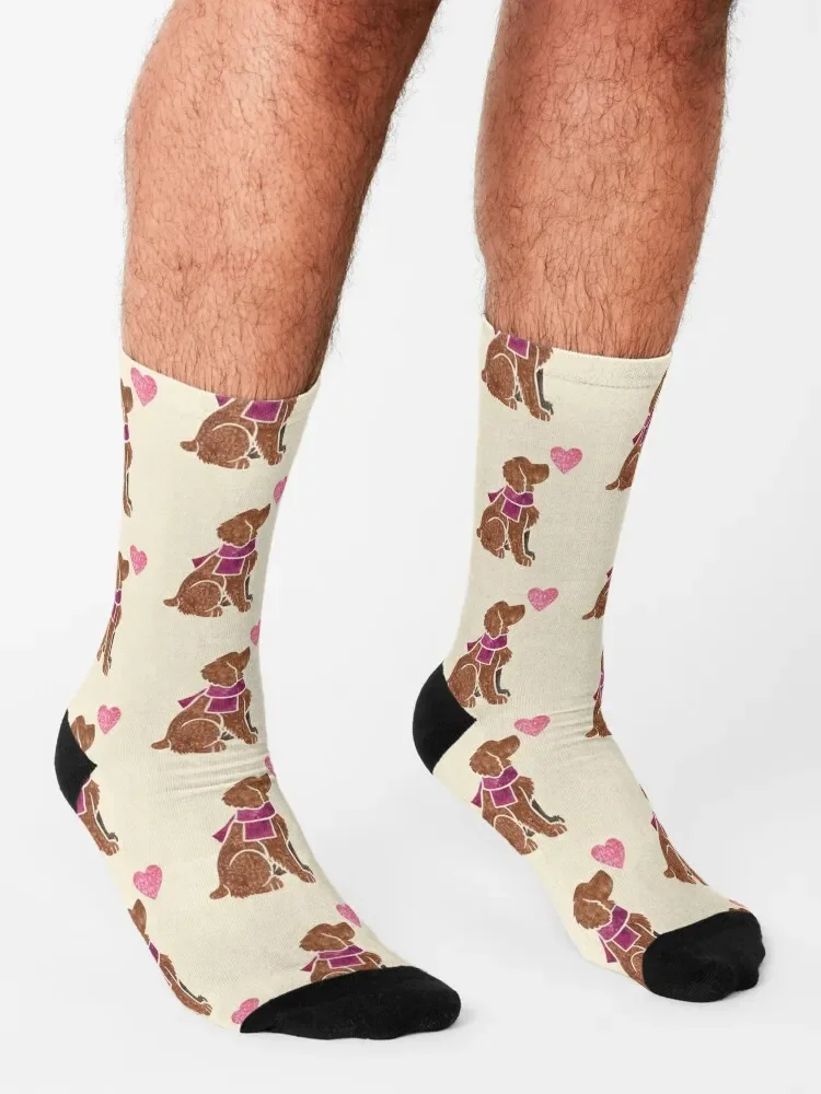 Calcetines de Cocker Spaniel para hombre y mujer, calcetín de trabajo de acuarela, regalo estético de moda