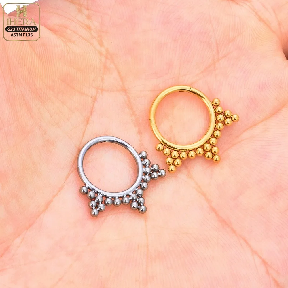 ASTM F136 Titanium Luxury CZ Inlaid Hinged Segment Ring Round Hoop Daith Helix Septum Piercing Jewelry Clicker Nose Ring Set