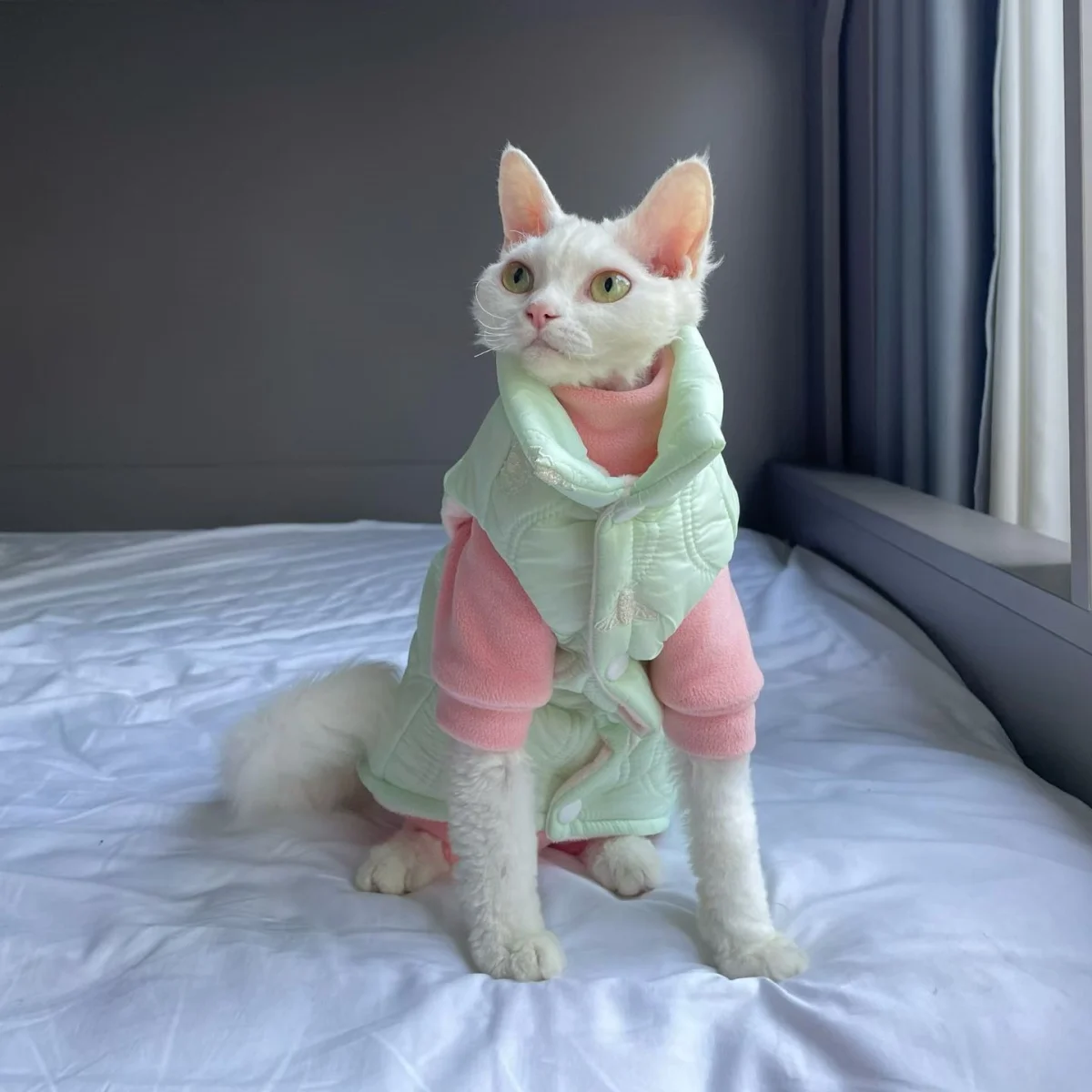 Winter Thick Fleece Windproof Jacket for Sphynx Cat Warm Cute Green High-Neck Button Coat for Kittens Loungewear For Devon Rex