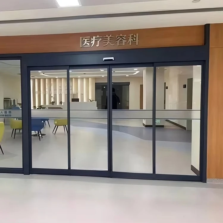

Wholesale Customized Modern Design Tempered Glass Sliding Door for Home Residential Economically Priced Main Entry Door