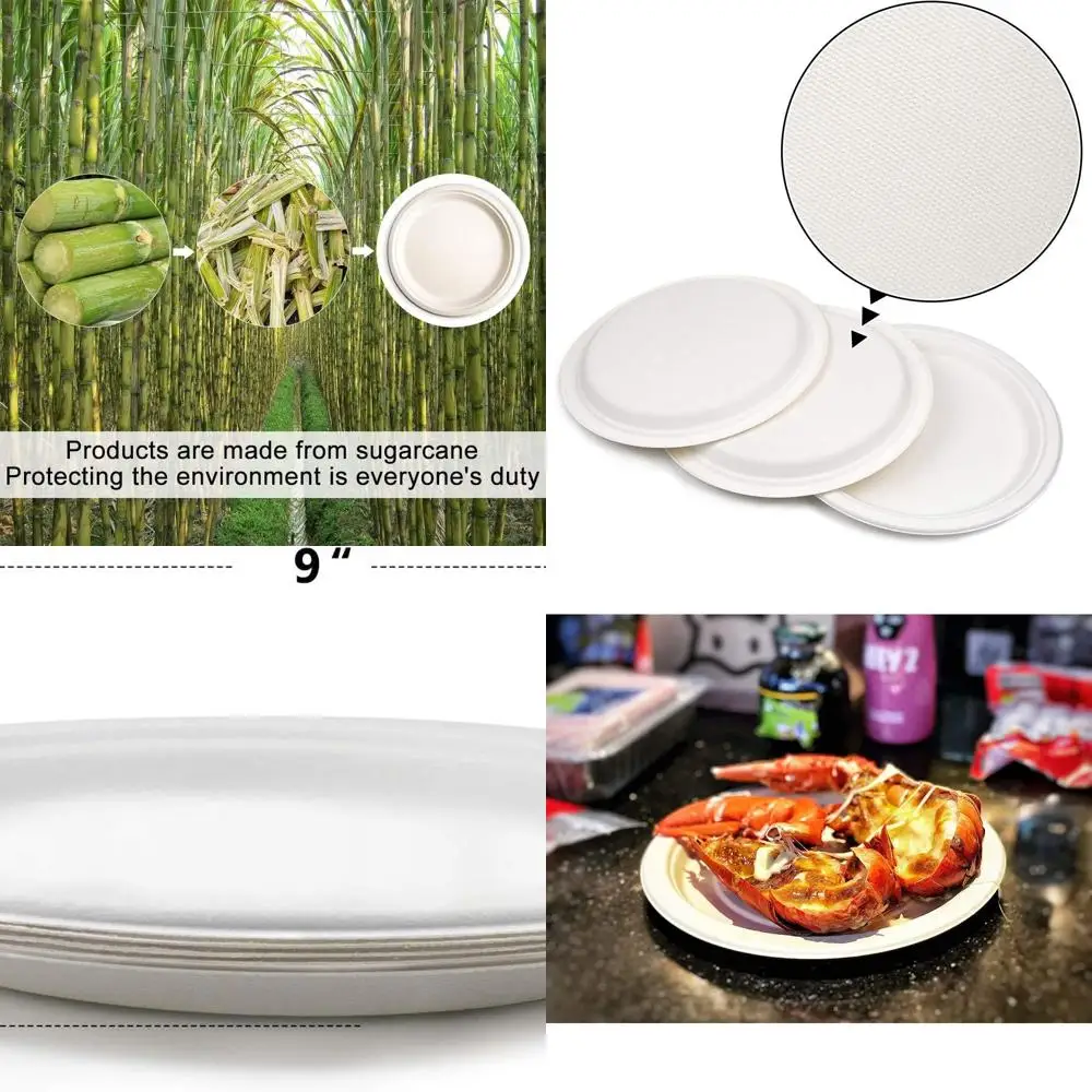 

Eco-Friendly Sugarcane Fiber 9 Plates, Biodegradable & Compostable, 500 Pack Disposable Dinnerware