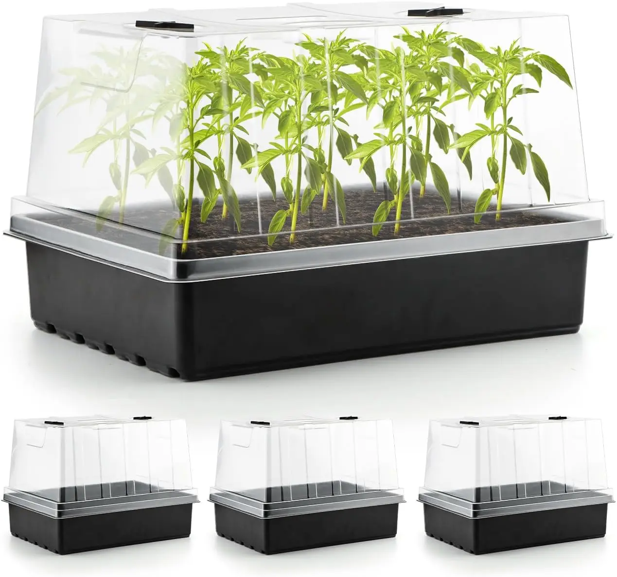 

4-Pack Seed Starter Trays with 5'' Tall Humidity Domes – Reusable Plant Germination Kit for Microgreens, Herbs & Indoor Gardenin
