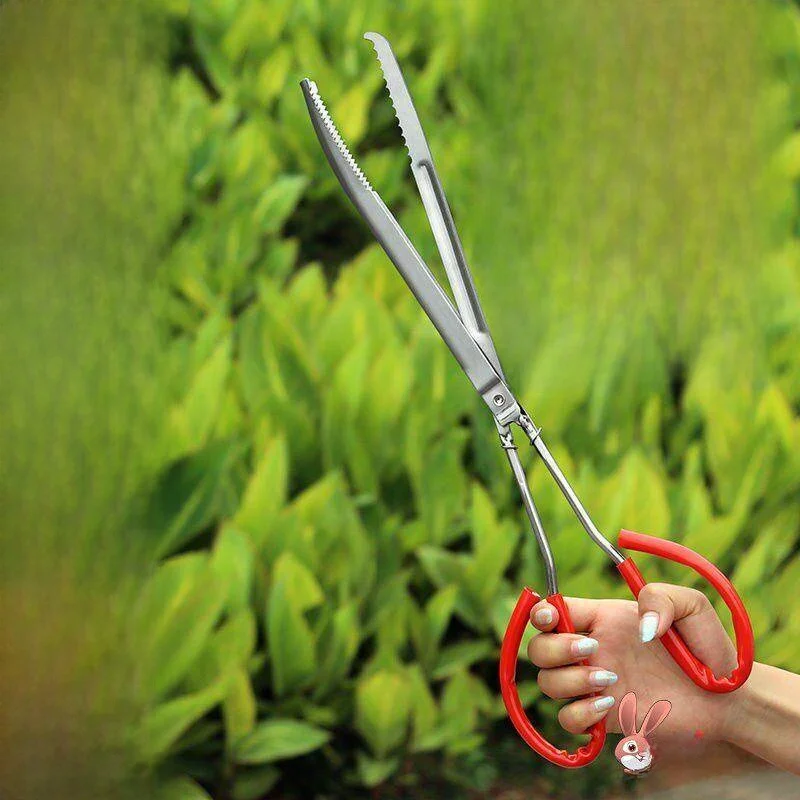 

Stainless Steel Fish Clamp Home Use Fire Starting Yellow Croaker Clamp Carp Crayfish Clamp Anti-Slip Catching Special