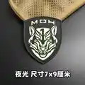 Luminous patch 4