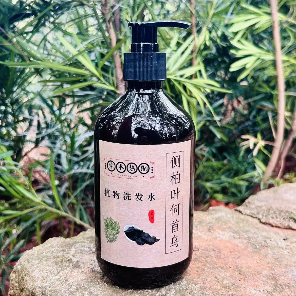 

Brewed Biota Shampoo with Ginger & Soapberry, Herbal Hair Growth Treatment for Nourished Scalp