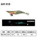 2.5 10.5g 607-918