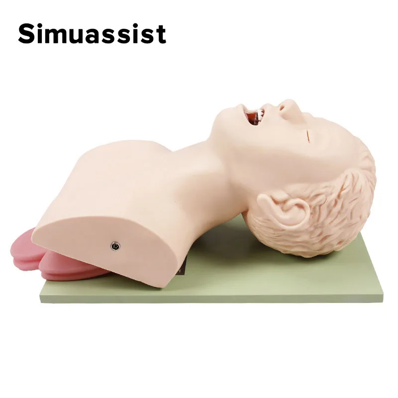 Electronic Adult Tracheal Intubation Model Oral Nasopharyngeal Human Airway Emergency Medical Nursing Training Mannequin