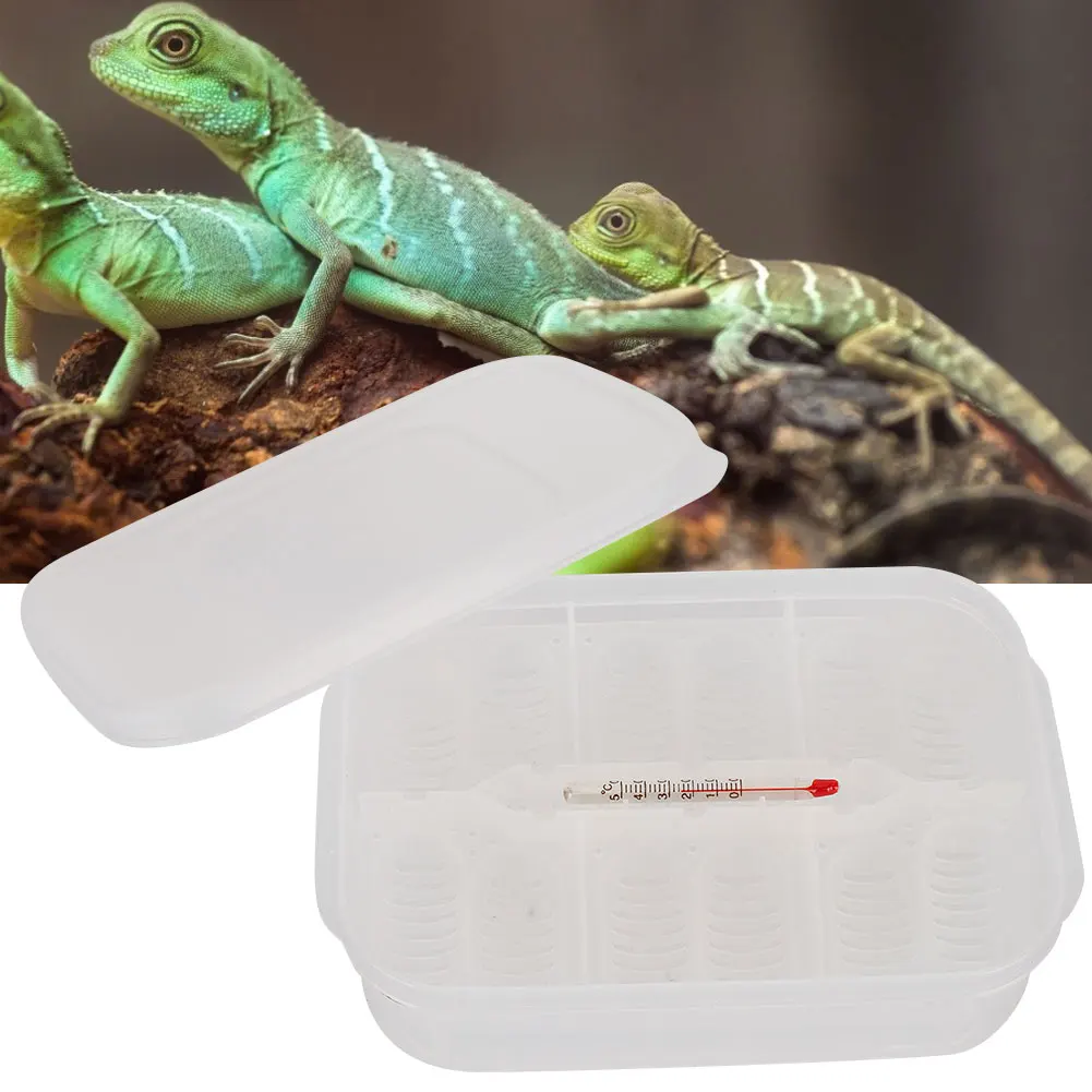 12 Grids Small Reptile Incubator Hatching Box Professional Climbing Pet Lizard Breeding