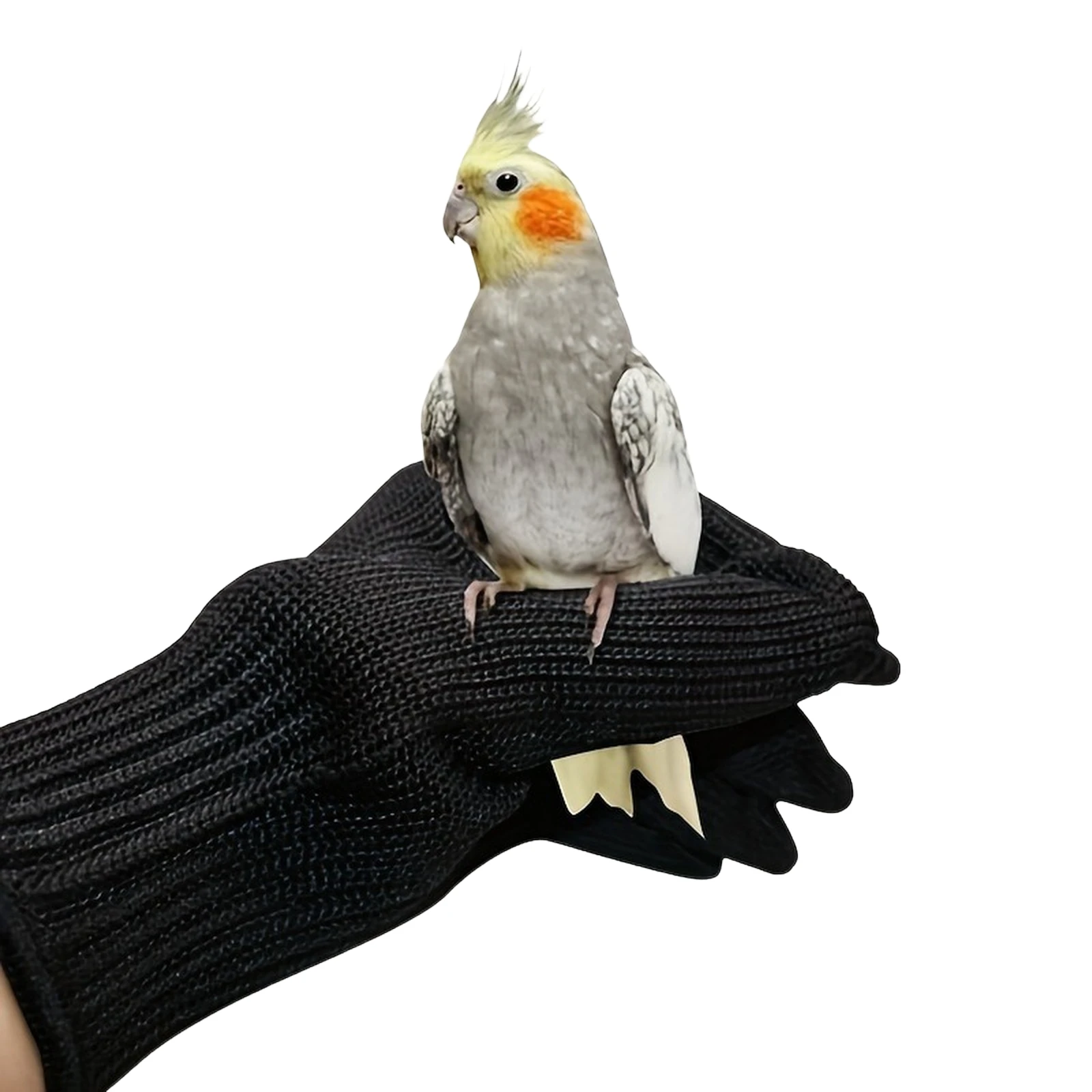 1/3/6 Pairs Bird Training Anti-bite Gloves Safety Gloves Multi-purpose Protective Gloves for Parrot Squirrels Hamster