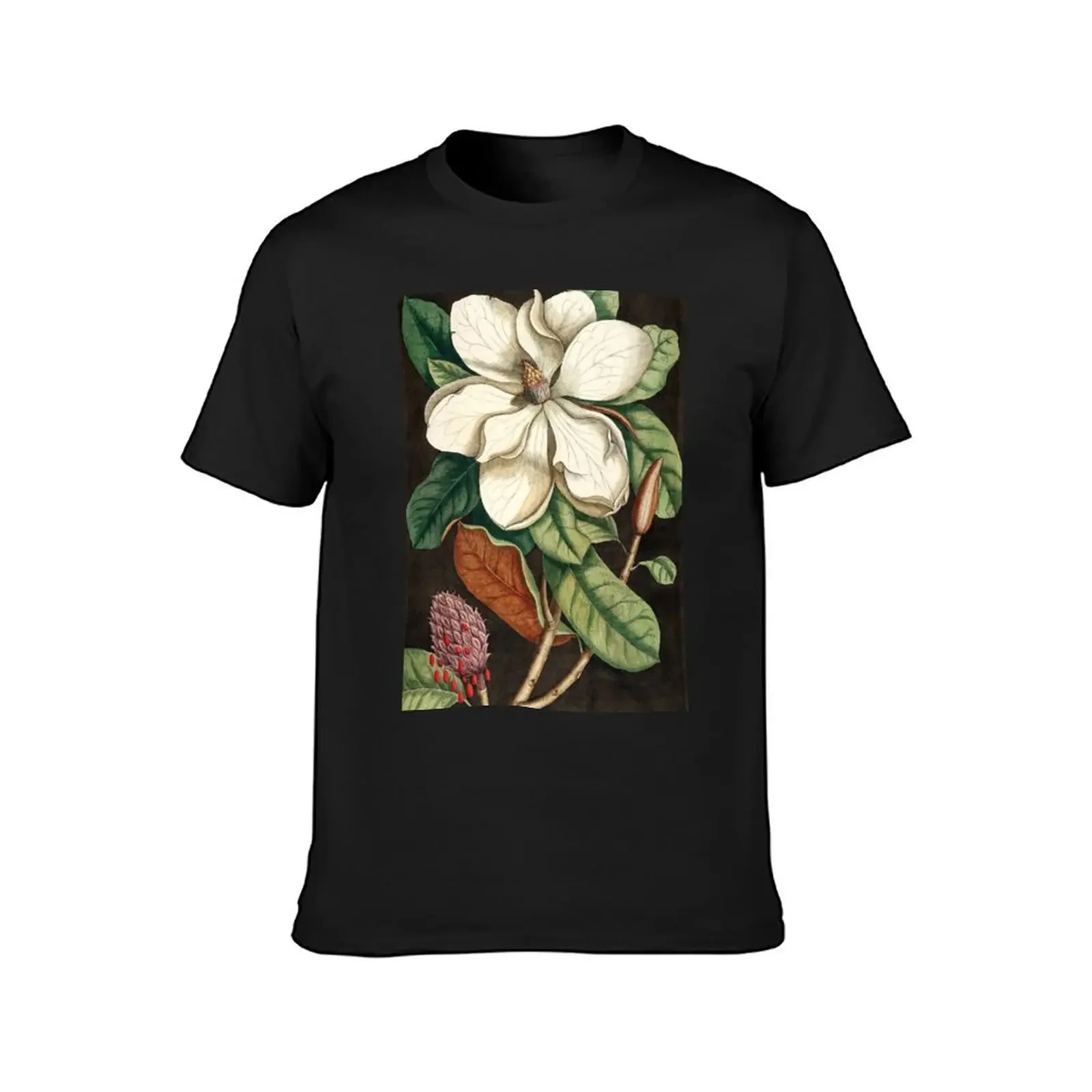 Magnolia Flower Vintage Botanical Illustration, Cute Bull Bay Aesthetic Old Style Floral Aesthetic, Retro Blossom Garden T-Shirt