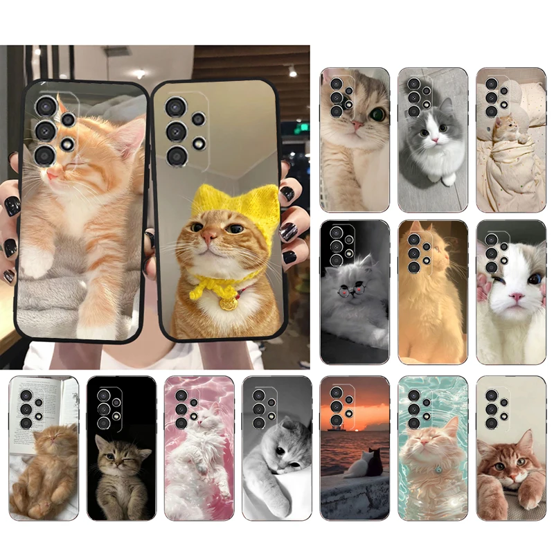 

Phone Case For Samsung A17 A55 A16 A56 A35 A15 A53 A54 A33 A34 A25 A05S A52 A52S A07 A26 A06 Cute Cats