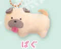 Pug