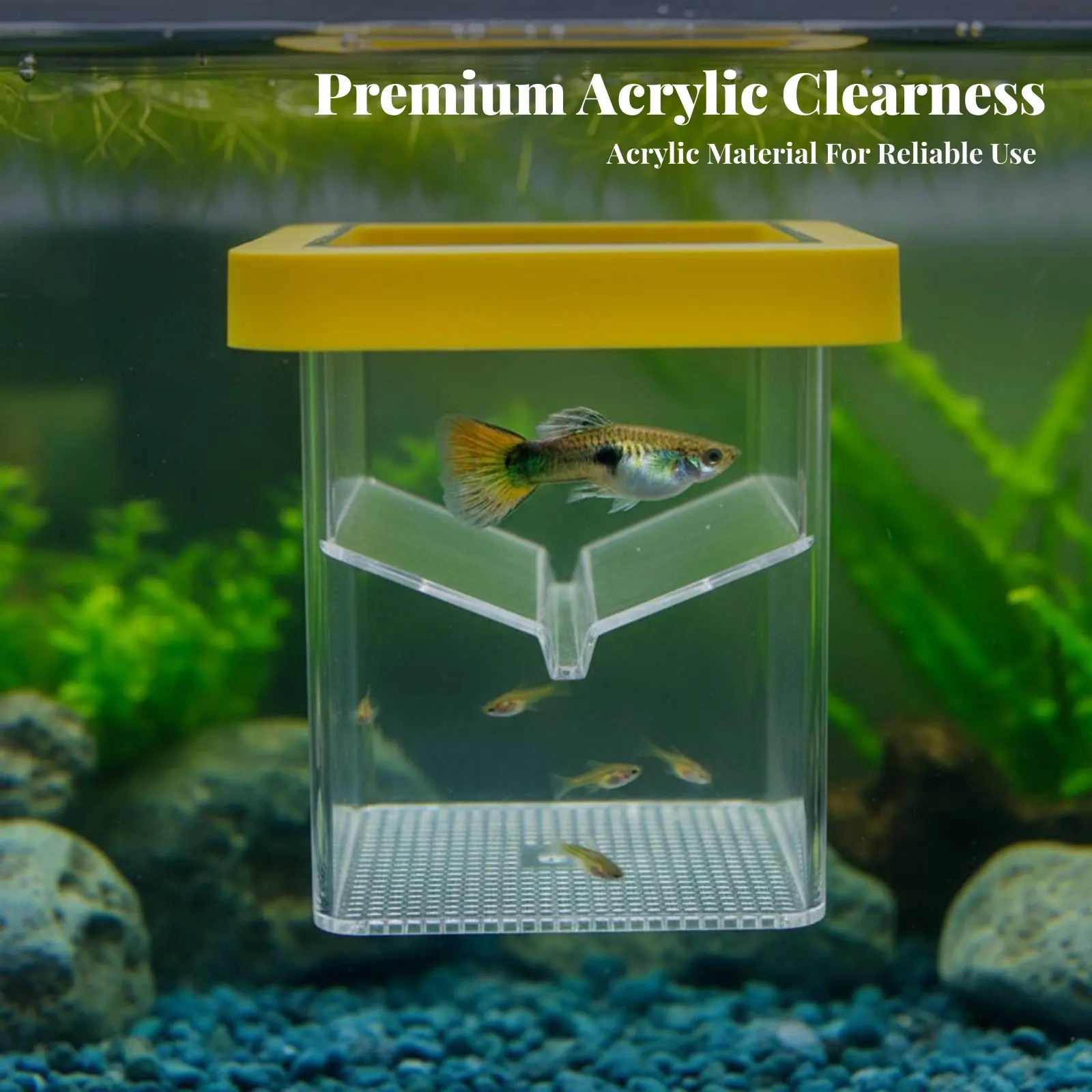 

Плавающий контейнер для разведения водных существ с высокой прозрачностью, универсальный инкубатор для разделения мальков