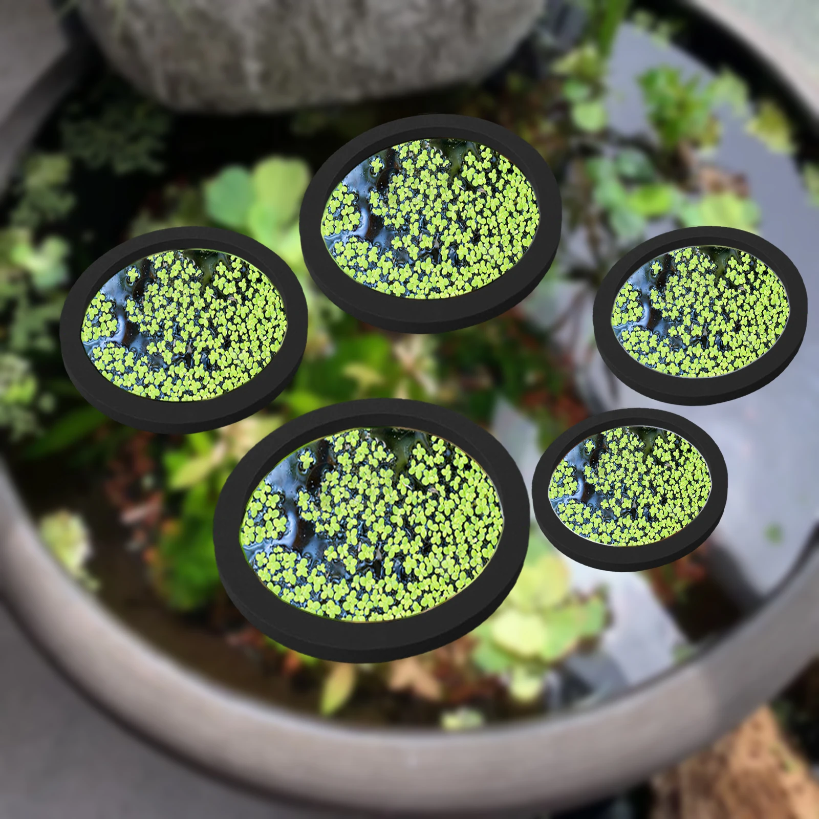 5 uds EVA anillo de alimentación de peces acuario planta flotante Coral pecera flotador planta barrera para acuario estanque accesorios 80-200mm