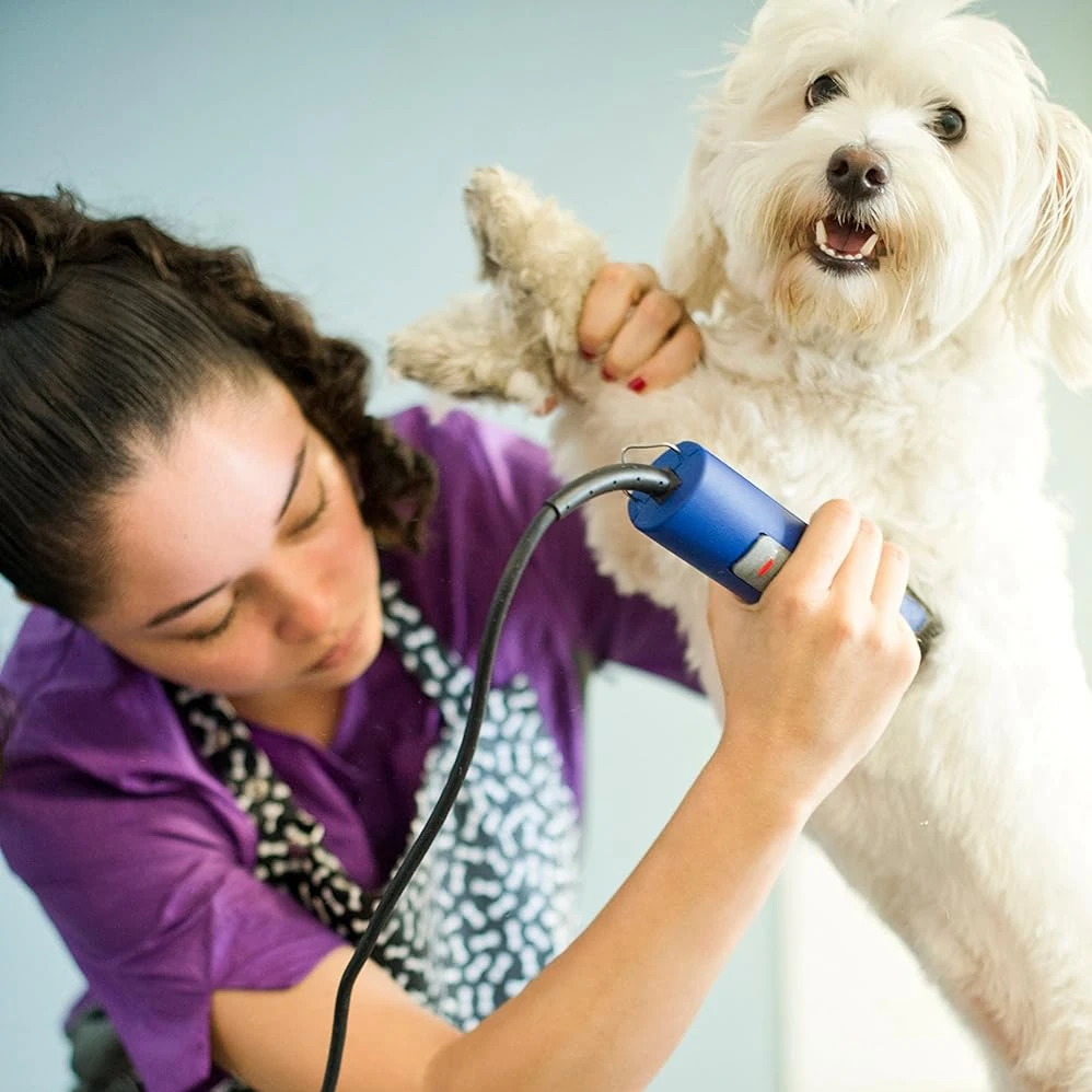 ماكينة قص الحيوانات الأليفة والكلاب والقطط والحصان، شفرة سيراميك قابلة للفصل لمعظم ماكينة قص الحيوانات من سلسلة Andis وOster A5 وWahl KM