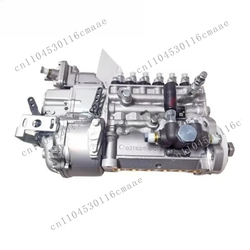 Wheel loader accessories Weichai WP10 fuel pump assembly fuel injection pump fuel injection pump 612601080376