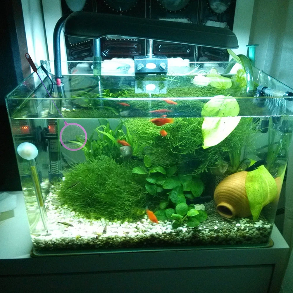 

5Pcs Large Fish Net Delicate Design Strong Not Bend Easy Grip for Aquarium Fish Tank Freshwater Saltwater Fishing Landing Net