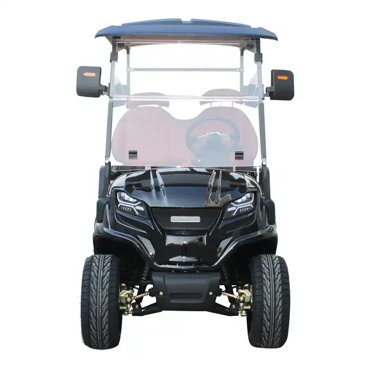 Street Legal Adult New Energy Sightseeing Car Electric Mini 2 Seat Golf Cart With Lithium Battery