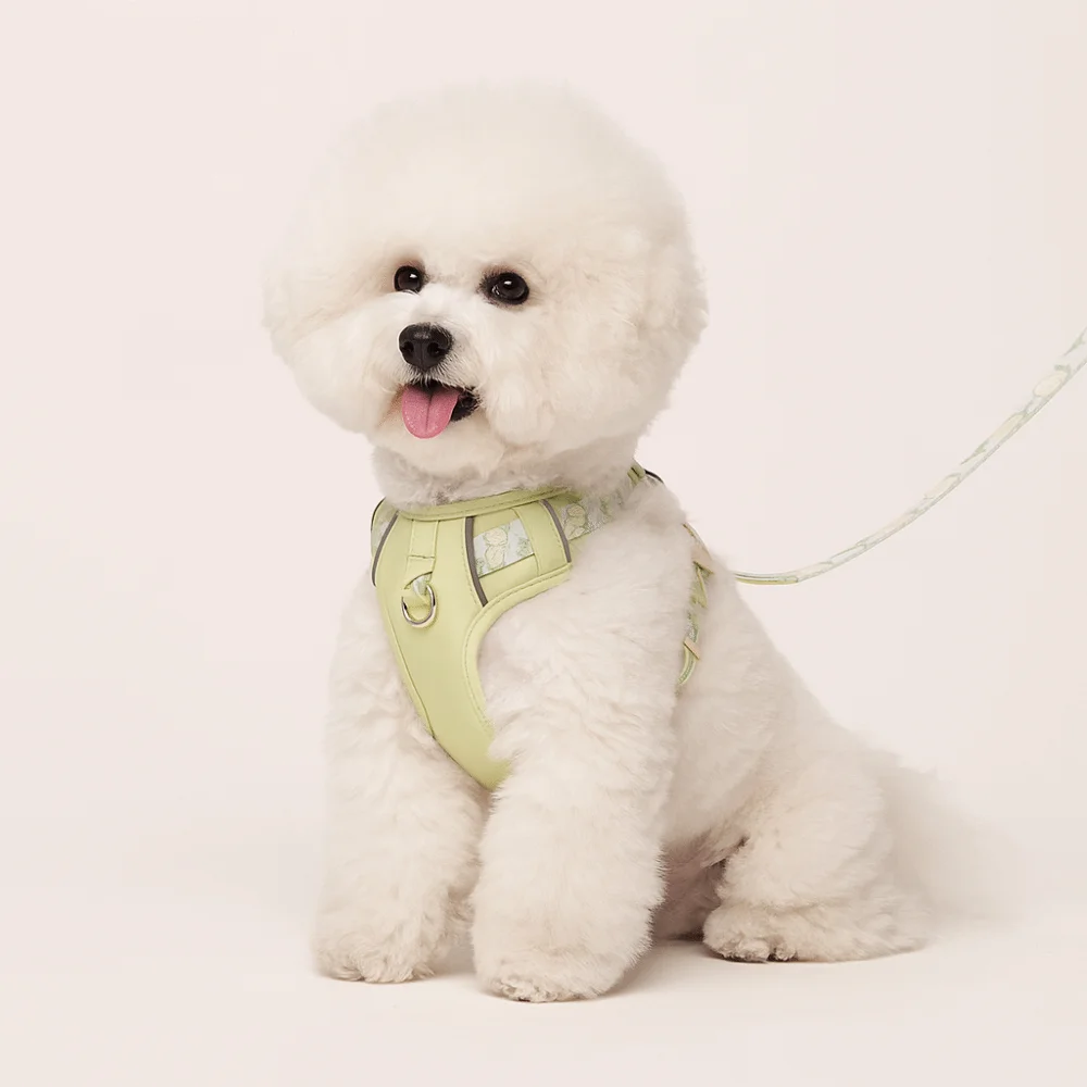 

Pet Accessories Adjustable Dog Leash Vest Type Explosion Proof Pet Harness Large Medium Small Chest Back Dog Vest Bigbear