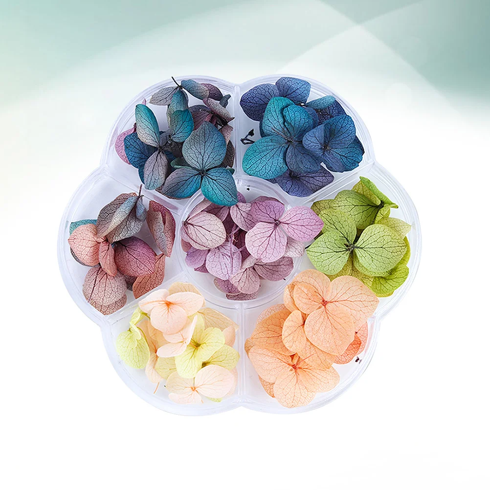 

Nail Supplies Flower Dried Flowers for Gel Kit Tweezers Leaf Autumn And Winter