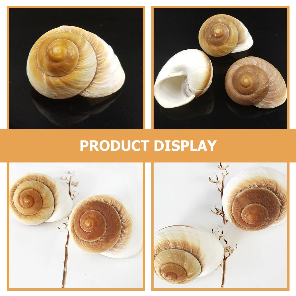 

2Pcs Conch Decorations Creative Shell Decor for Fish Tank Home Decor Craft DIY Arrangement Desktop Ornament Delicate Seashell