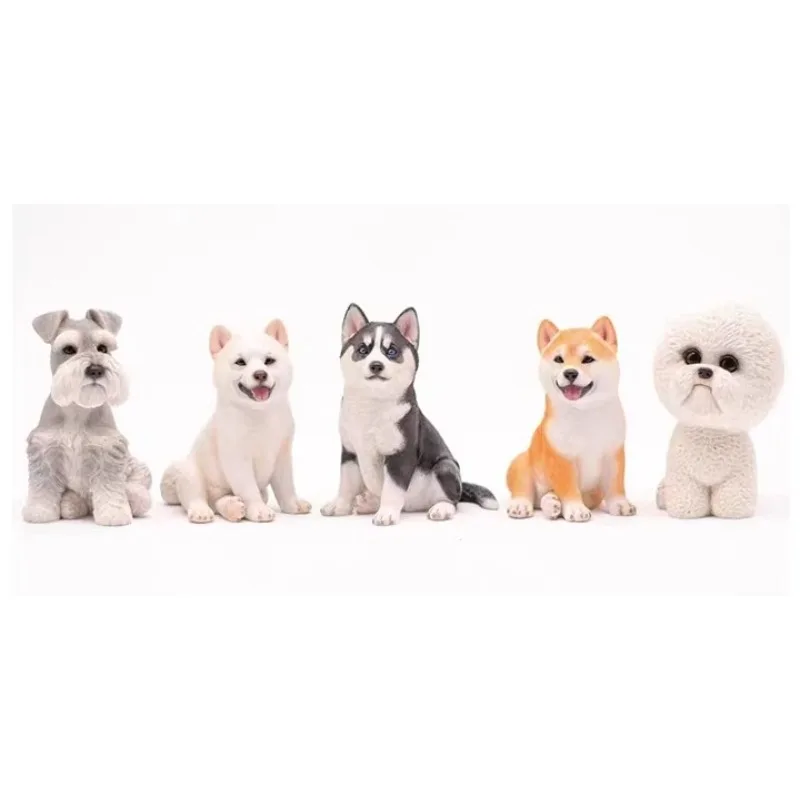 JXK 1/6 Skala Sibirski Husky/Shiba Inu/Schnauzer/Bichon Frise Model Symulacyjny Psa Zwierzęcia Pasujący do Dekoracji Biurka