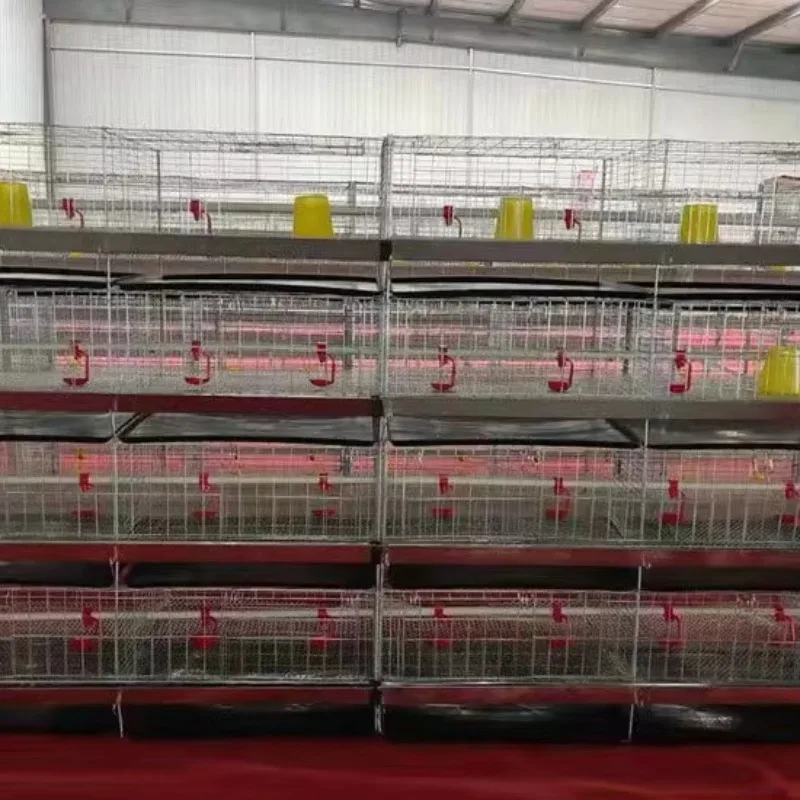 4-Layer integrated vertical chicken coop for chick brooding and raising small flocks at home without power supply