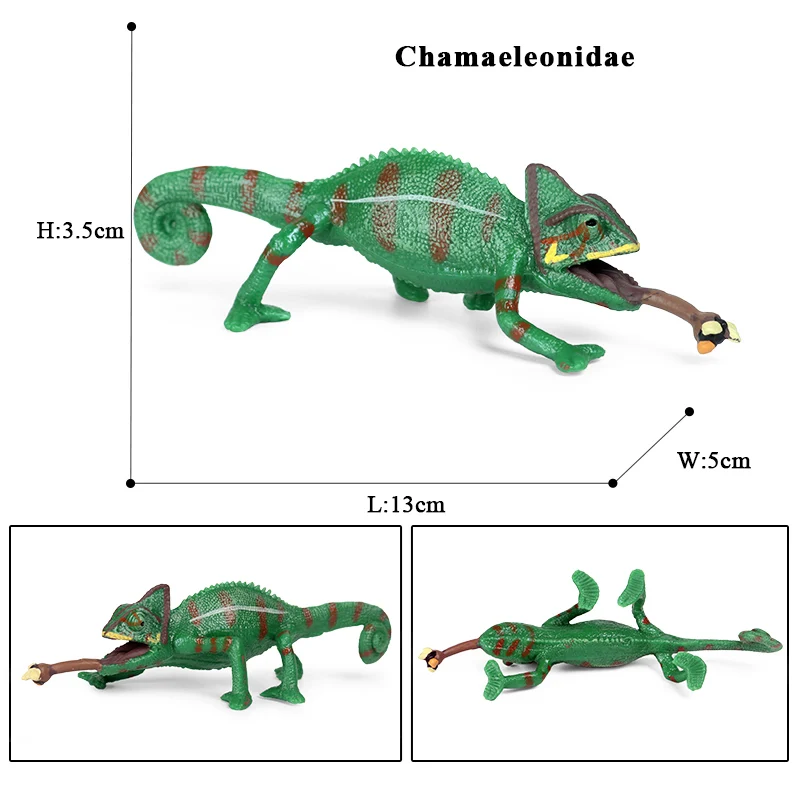 Oenux Neue Simulation Wilde Reptil Tiere Action-figuren Eidechse Modell Figuren Kinder Bildung Kognitive Szene Dekoration Spielzeug – Detail 12