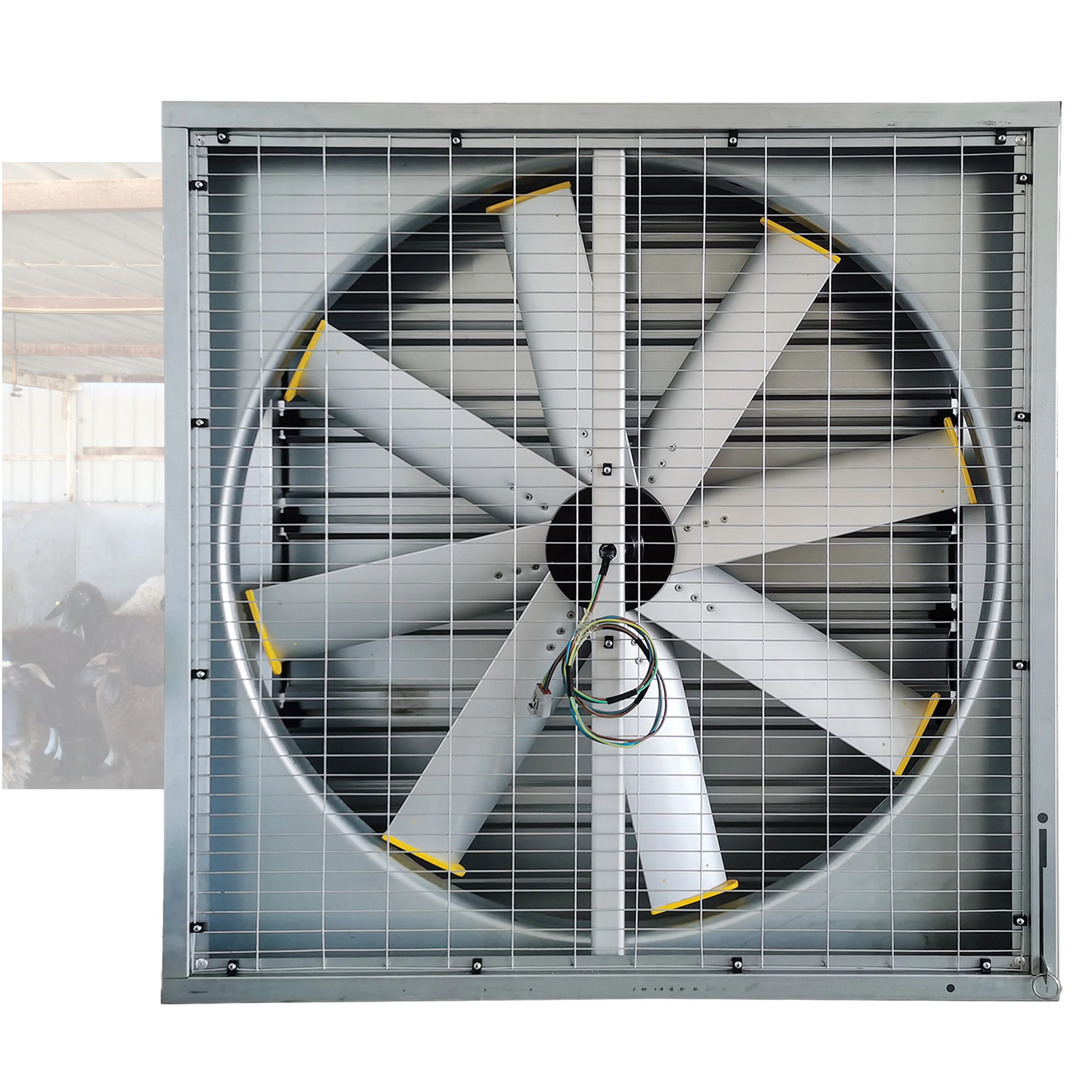 

Agricultural Industrial Farm Poultry Ventilation Heat Extraction Fans Solar 36VDC Motorized 48' Giant House Wall Exhaust Air Fan