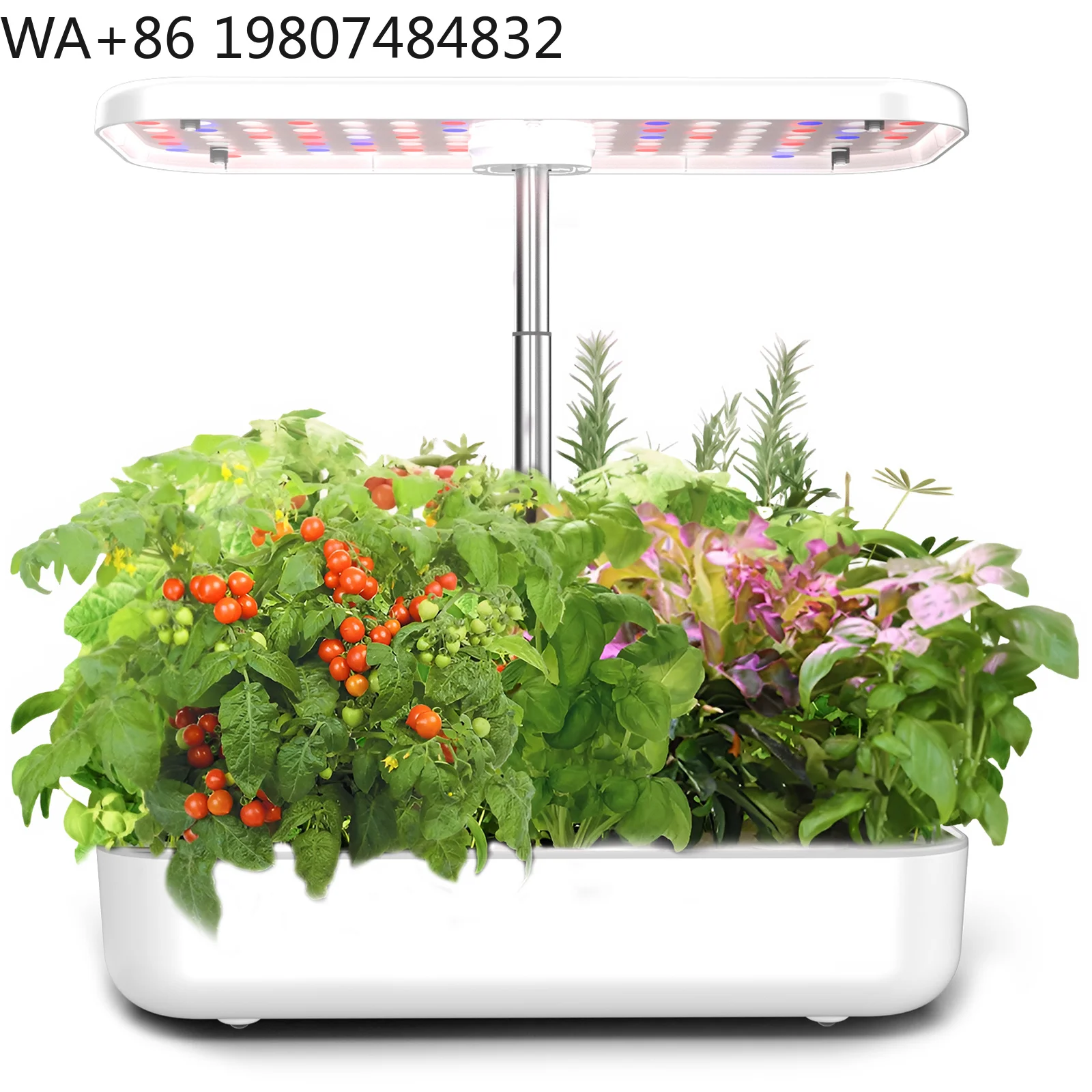 12 Pod Electronic Microgreen Hydroponic Grow Kit Timing Full Spectrum LED Light Stable Circulation Soilless Gear For Balcony