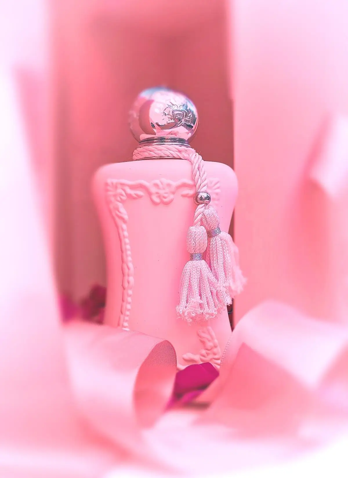 Delina Exclusif Eau De Parfum 75ml 2.5oz Great News Back In Stock Pastel Pink Bottle Design Anniversary Birthday Graduation Gift Idea Year-Round Essential Amber Oriental Floral Women Fragrance Spray Special Event Celebration New Stock Restocked Mist