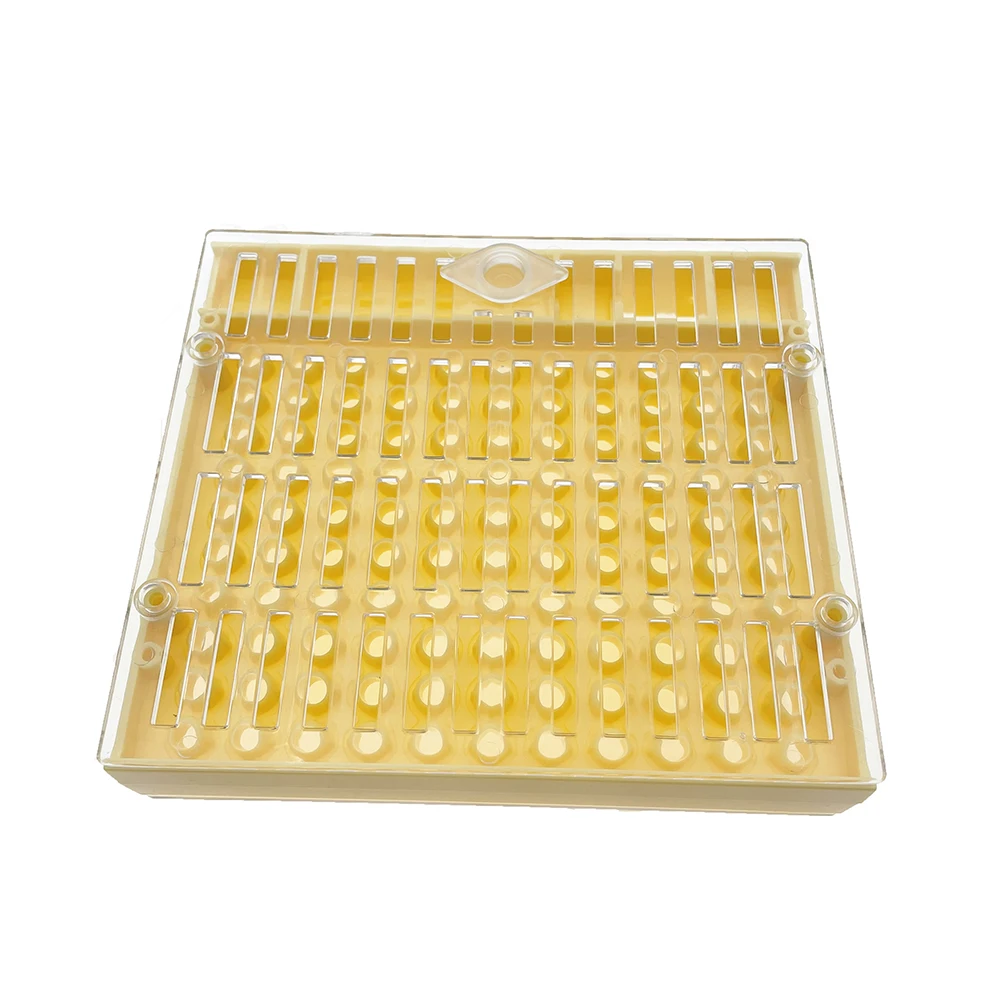 

1PCS Nicot Queen Rearing Plastic Breeding Box Can Hold Brown Cell Without Grafting High Accepted Put Into Comb Beekeeping Tools