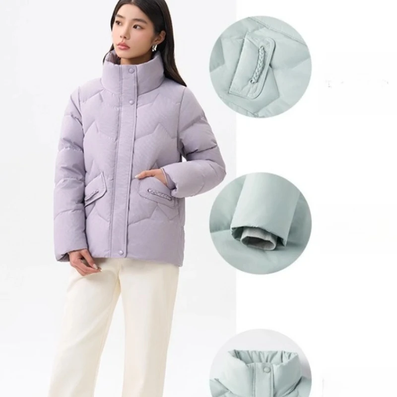 Chericom Kurze Daunenjacke für Damen, 2022, Winter, Stehkragen, schick, Pendeln, jugendliche Mode, isoliert, solide Oberbekleidung, Y309170Y