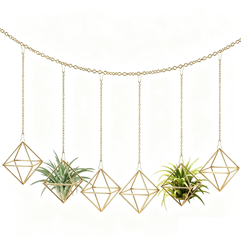Geometric Hanging Stand for Air Plants Using Iron Construction Includes Chains for Secure Wall or Ceiling Installation