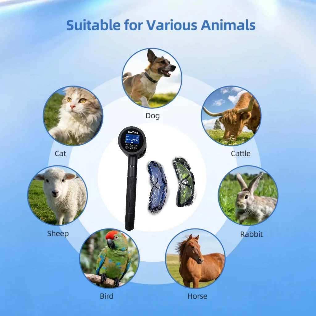 Portable 5W Cold La…