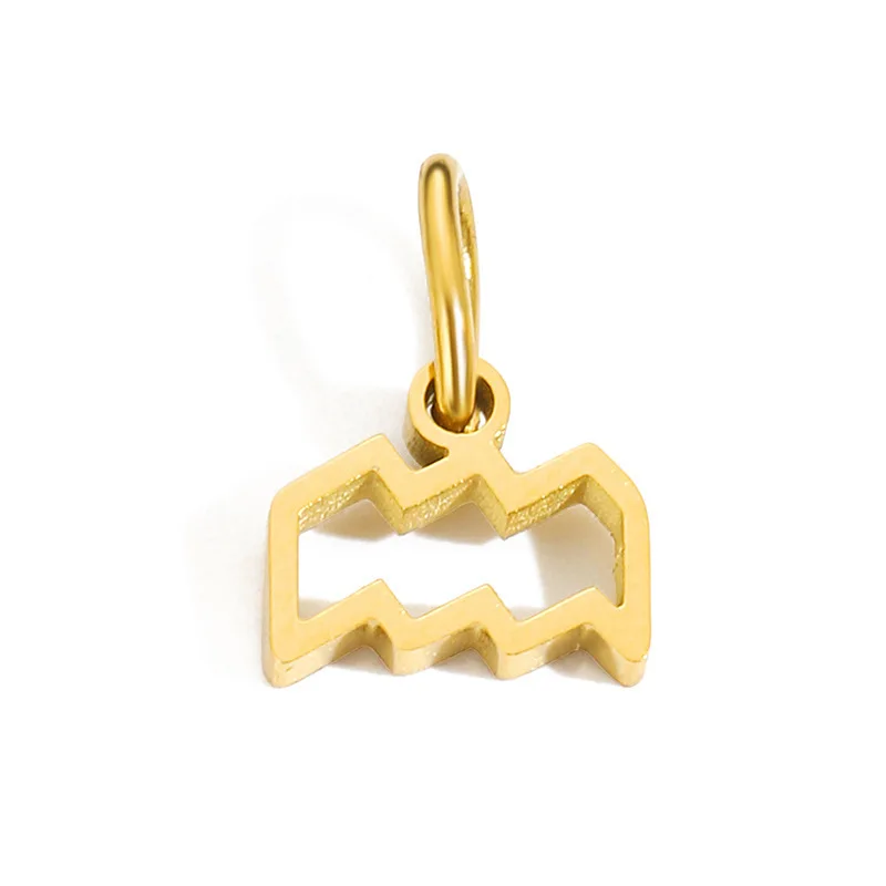 CARLIDANA Wasserdicht 316L Edelstahl 12 Sternzeichen Charms für Halskette oder Armbänder Gold Farbe Dropshipping Großhandel