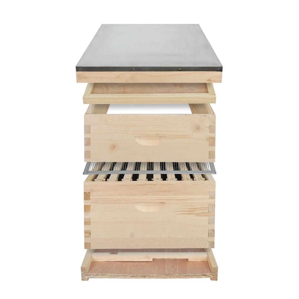 

Bulk 10 Frames Complete Langstroth Beehive Kit, Standard Chinese Beekeeping Box
