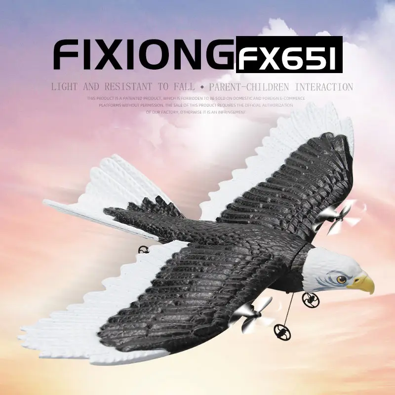 FX651 2,4 GHz 2CH RC Eagle Plane – elektrisches Starrflügel-Schaumstoffgleiter, Bald Eagle-Simulation, fliegendes Spielzeug mit Fernbedienung für Kinder