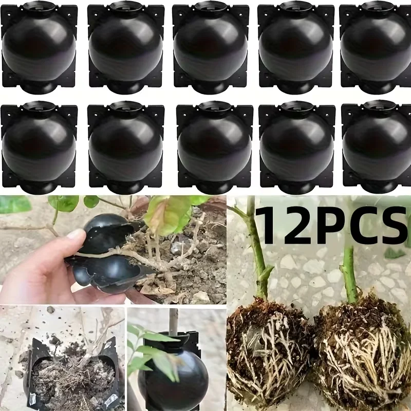 

12pcs Plant Root Growing Box Propagation Reusable rooting Grafting breeding seedling Garden plant rooting ball Garden supplies