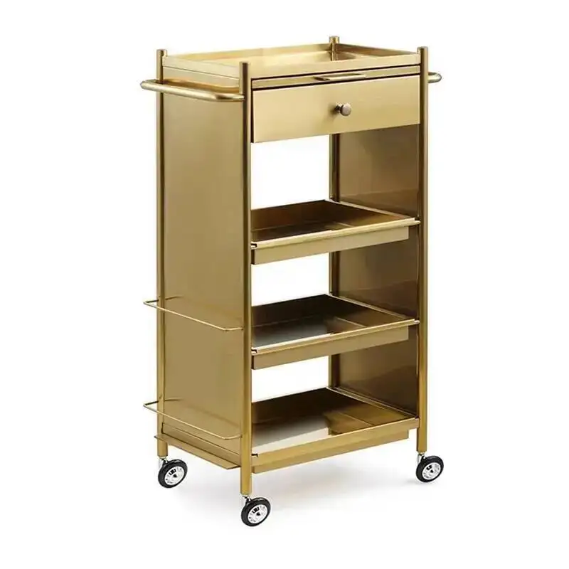 

Beauty Tattoo Stainless Hair Salon Barber Trolley Rolling Salon Trolley Medical Drawers Carrito Auxiliar Salon Furniture BL50ST