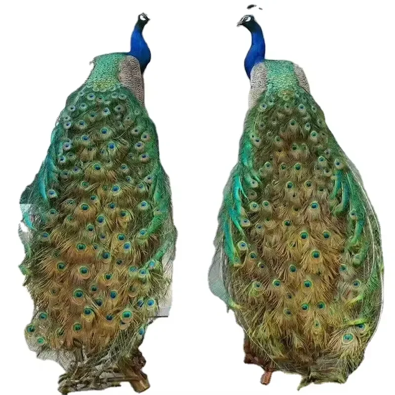 for Peacock Statue White Simulation Bird Ornament Home Garden Decor Wedding Party Centerpiece Large Long Tail Animal Figure