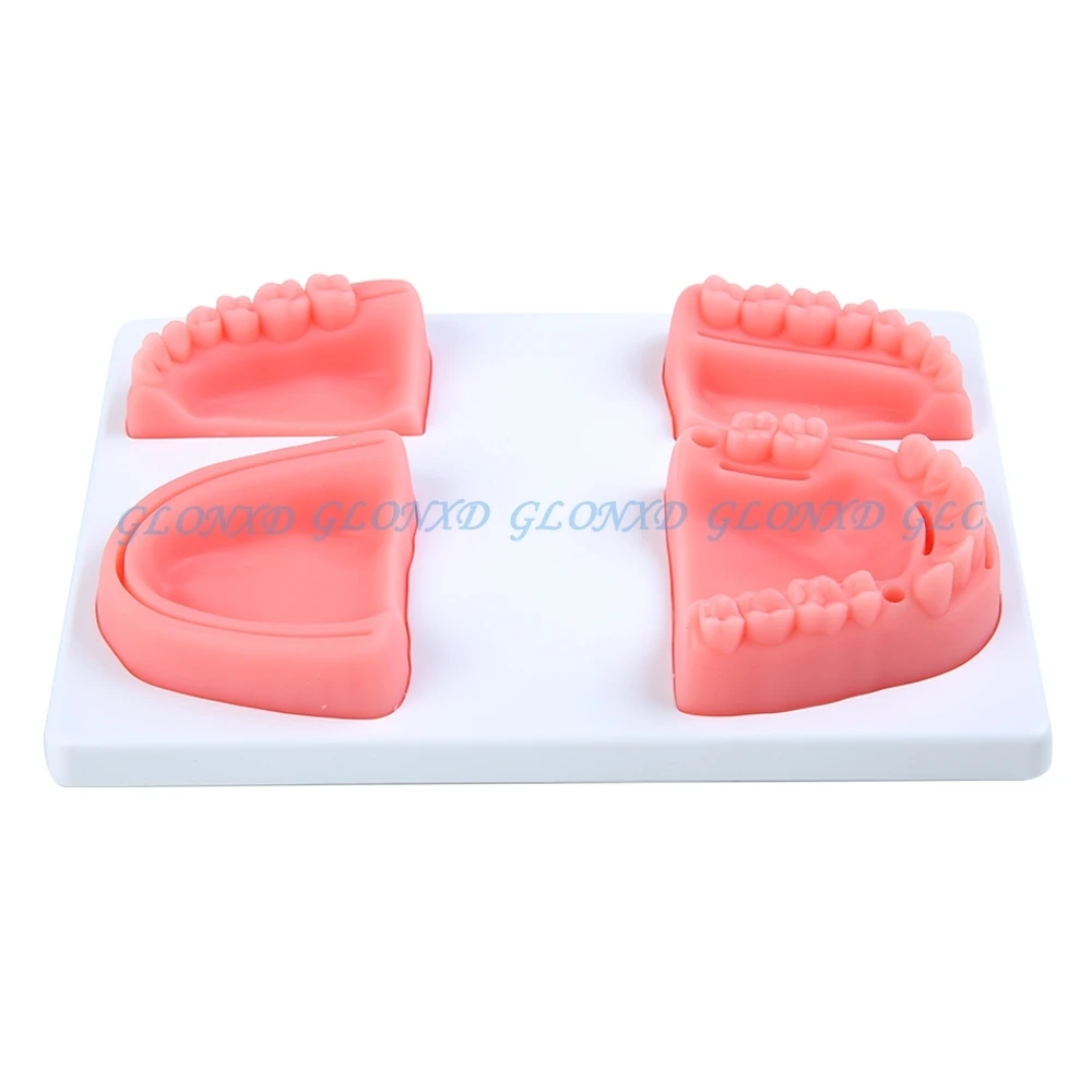 Dental Oral/Gum Suture Training Module Medical Skin Suture Surgical Training Kit Pad Silicone Periodontitis Suture Model