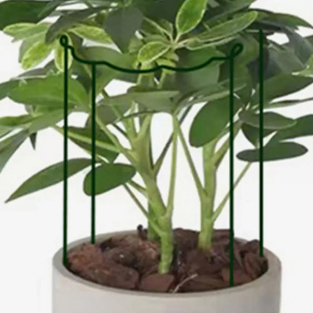 4Pcs Garden Plant Support Frame Sturdy Flower Rack for Potted Plants Climbing Vines Metal Plant Support Stakes