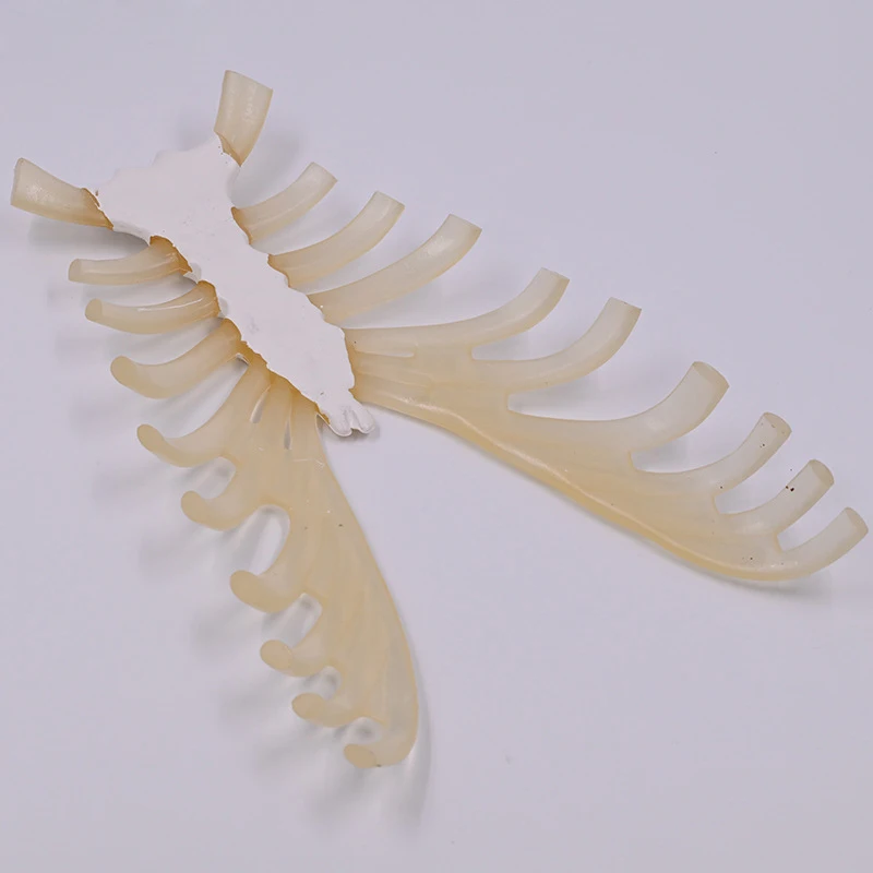 

Sternum Bone Demonstration Model Teaching Aid Training Organ Structural Model Educational Tool for Boys and Girls Office Toy