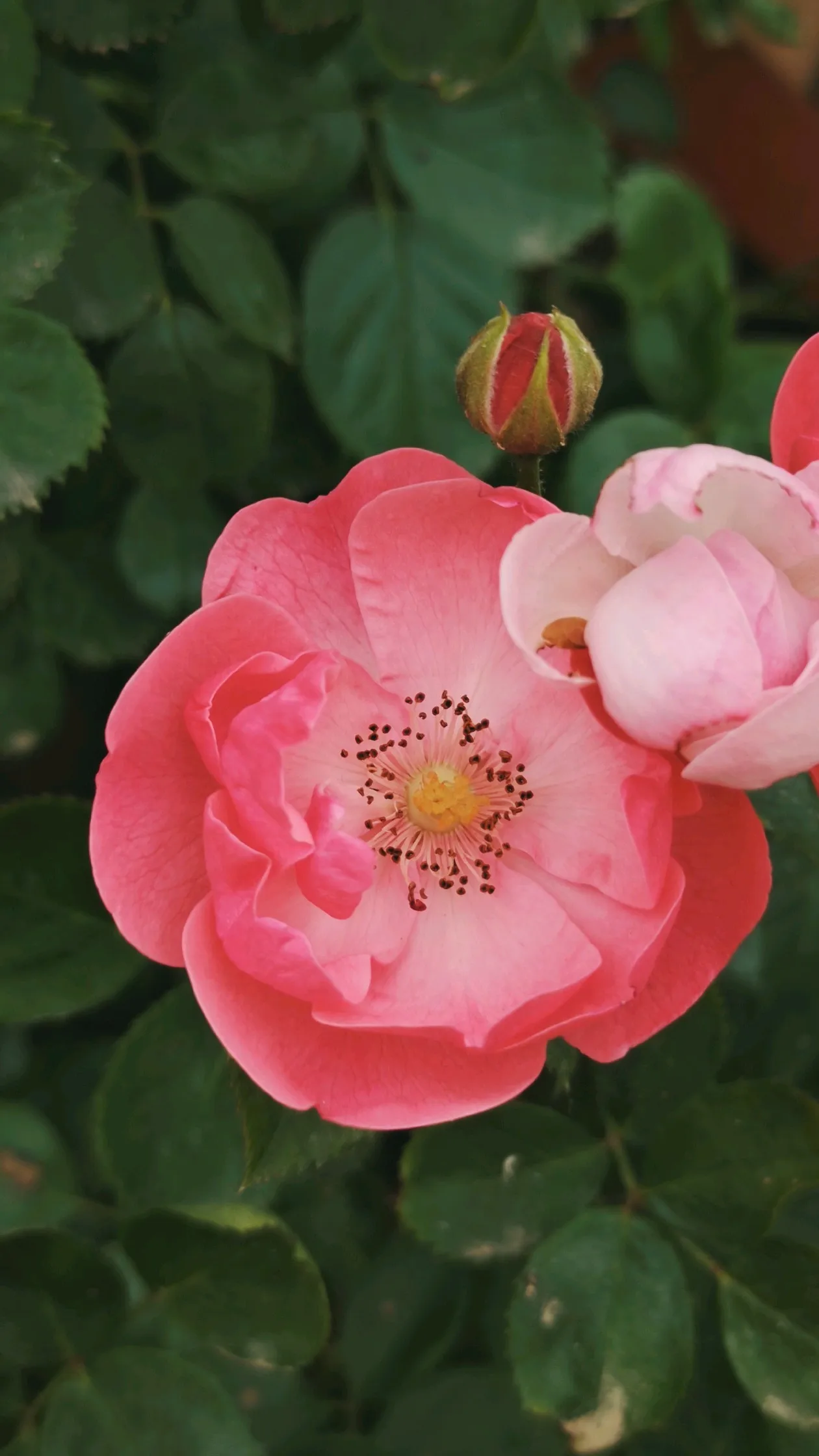 

WLtoys 144001 1:14 RC автомобиль, модернизированный, с металлическими запасными частями, полный комплект металлических деталей