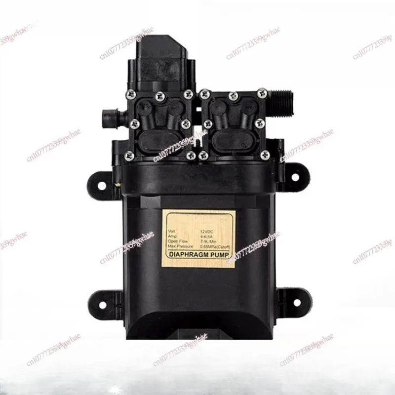 

Powerful dual water pump DC 12V 120W high pressure self-priming diaphragm water pump with lawn automatic pressure switch