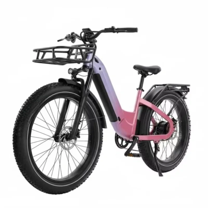Multi-Functional 7 Speed Central Motor Electric Folding Bike Off-road MTB Integrated 48v Lithium Battery Fat Tire Hybrid Bicycle