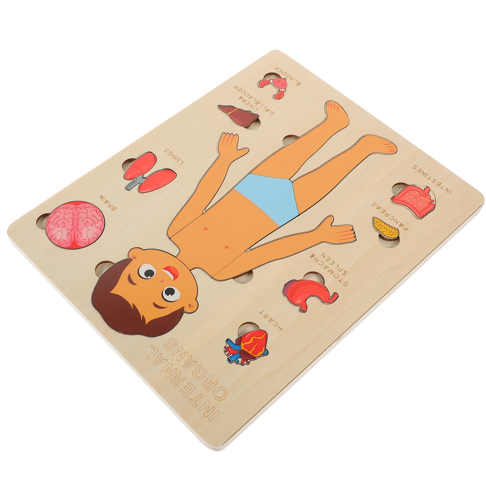 Human Body Structure Puzzle Parts Toy Cognitive Tool Learning Childhood Teaching Aids Wood Organs Puzzles Children